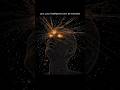 Discipline is the only edge that never dies. #unlockmatrix #unlockdarkpsychology #shorts