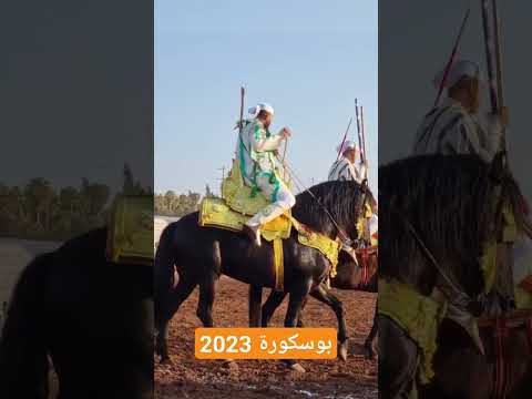 موسم سيف كمال حديوي