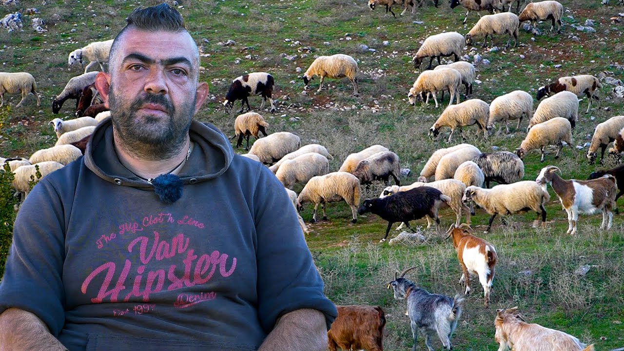 Το κοπάδι του Βασίλη | Η ζωή στο χωριό | Greek Village Life