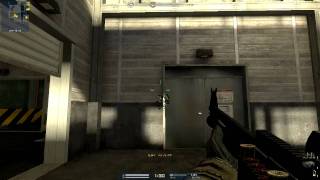 [A.V.A] Alliance of Valiant Arms FN TPS