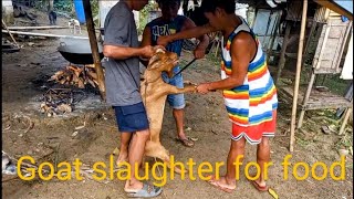 GOAT SLAUGHTER FARMING in the PHILIPPINES handaan sa fiesta/birthday/ kasal at iba pa.