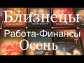 Близнецы ♊️  Осень 2020 года/Работа-Финансы