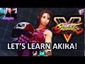 She&#39;s So Fun!!! Learning AKIRA (and a little Rose) in Street Fighter V!