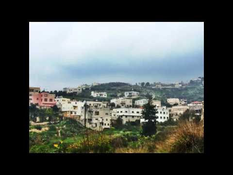 بيت ايبا الخضراء 2015