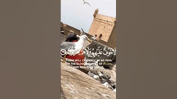 #القرآن_الكريم #آيات #سورة #المغرب #الجزائر #تونس #ليبيا #لبنان #مصر #السعودية #امريكا #قطر #البحرين