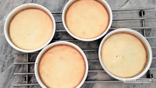 Layered Angel Food Mini Cake