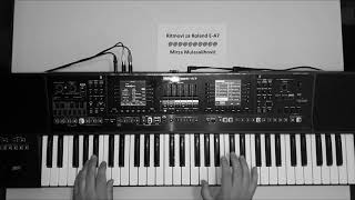 Roland E-A7 Style, Kaluđeru - Snežana Đurišić