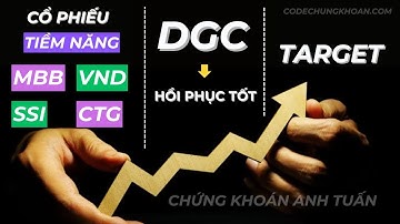 Hóa Chất Đức Giang (cổ phiếu DGC) Tăng Tốt +6% - Cổ Phiếu Ngân Hàng và Chứng Khoán Đang Hồi Phục Tốt