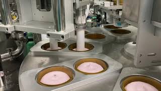 2202B - Ice Cream Tub Filling and Sealing Machine - SAT