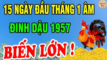 Ngã Ngửa Nghe Tin Trúng Lớn: Đinh Dậu 1957 Hưởng Trọn Lộc Trời, Tiền Về Tới Tấp 15 Ngày Đầu T.1 Âm