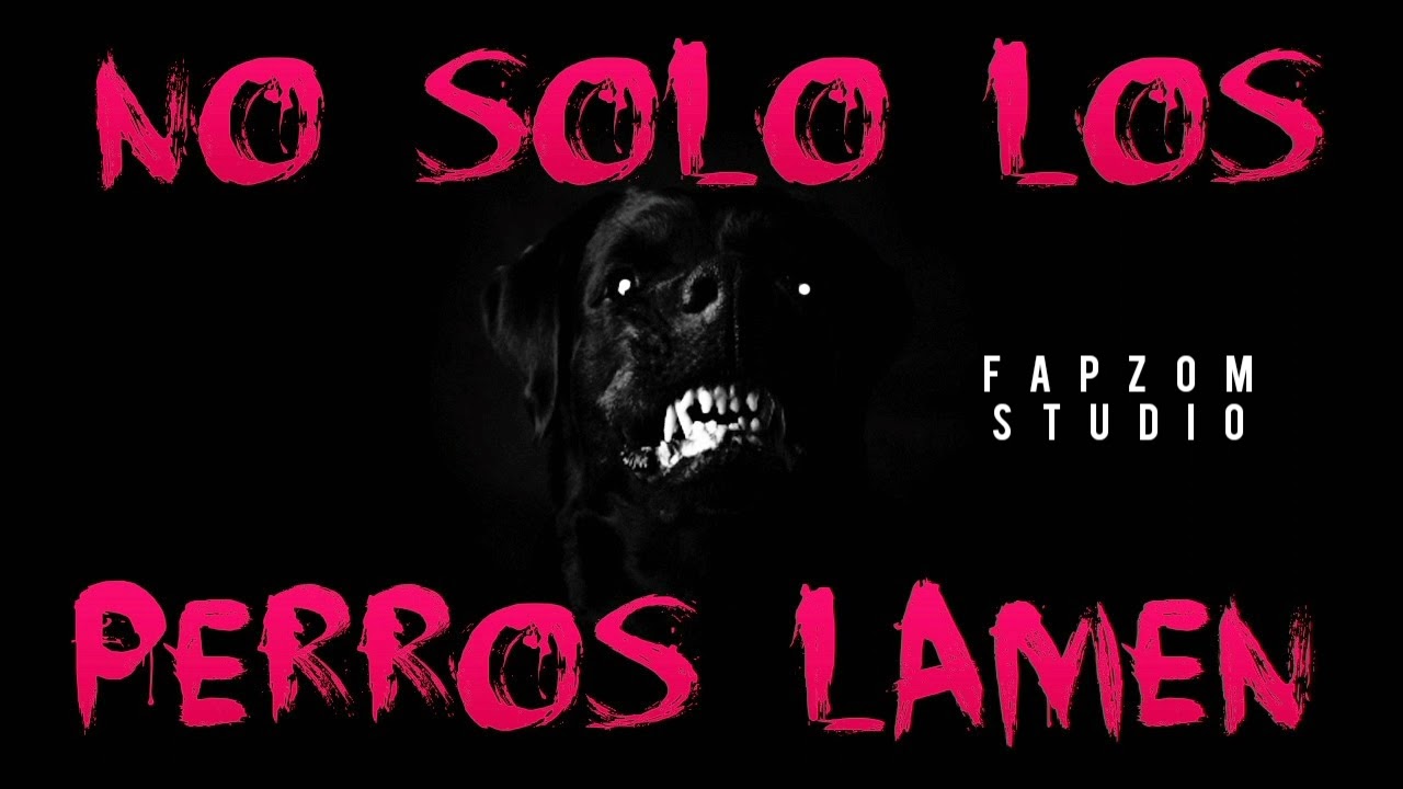 No solo los perros lamen🙂 - YouTube