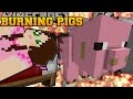 Minecraft: BURNING THE THREE LITTLE PIGS (WILL ANYONE SURVIVE!?) Mini-Game