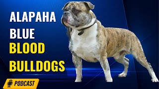 Episode 6: Alapaha Blue Blood Bulldogs  Joshua Antoine