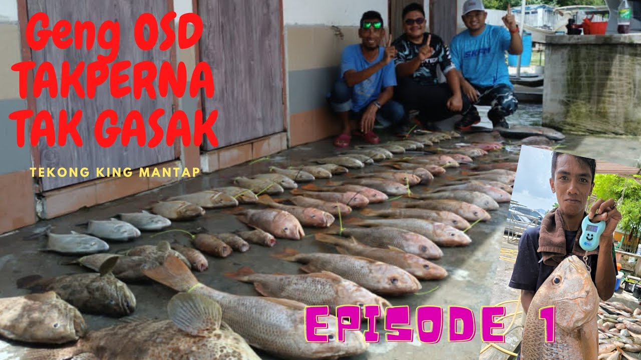 MEMANCING BOTTOM PULAU JARAK | BOT AZHAR KINGFISHER | EPISODE 1| GROUP OSD | GASAK JENAHAK & KERAPU