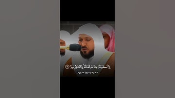 الأية ( ١٣ ) سورة الحجرات | حالات واتس قرآن كريم