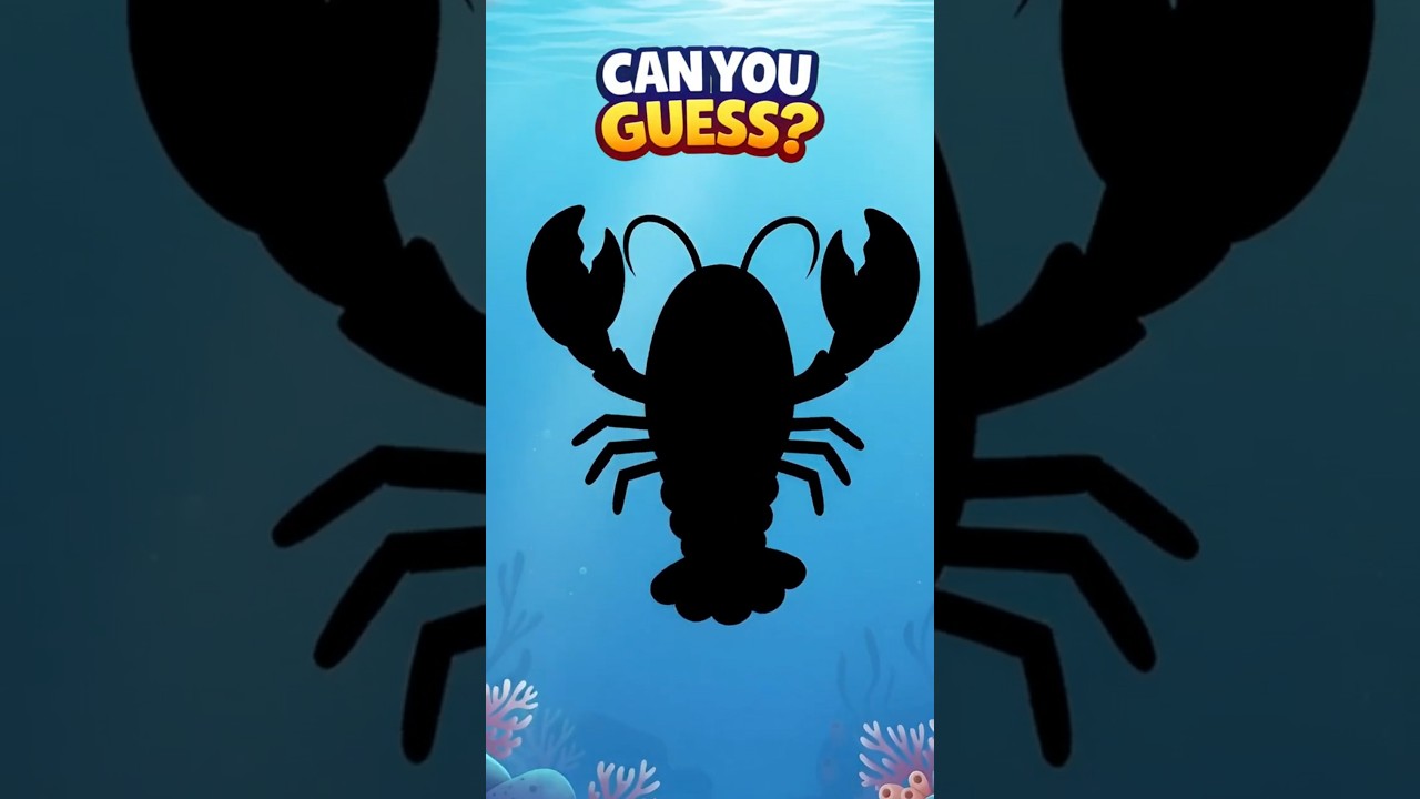 Guess the Sea Animal Shadow 🦞 | Fun Ocean Quiz for Kids! | Guess the Shadow 