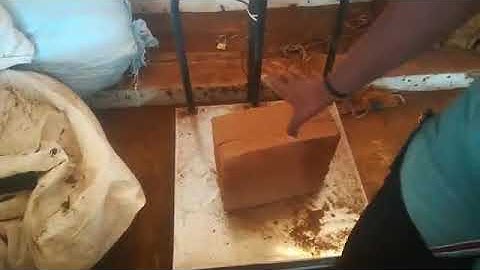 Coco peat expansion video