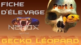 Fiche d'élevage#1: Gecko léopard part 1: Définitions