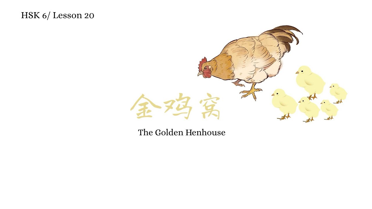 HSK 6/ lesson 20 vocabulary part 1: 金鸡窝