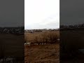 Поселок из окна вагона железнодорожного поезда Волгоград Москва Village railway Volgograd Moscow