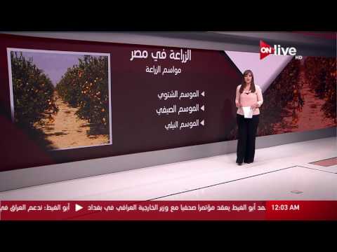أهمية قطاع الزراعه في مصر والخطط الحاليه للنهوض به