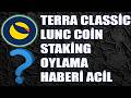 Terra Classic LUNC Büyük Staking Haberi Geldi ! LUNC Coin Yükseliş Başladı