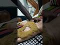 Ashadamasam / Gorintaku / mehandi #ashadam #gorintakuvlogs #positivewomen