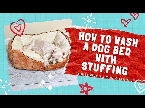 How To Wash A Dog Bed With Stuffing