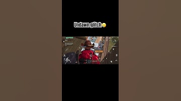 Undawn Glitch🥲😂