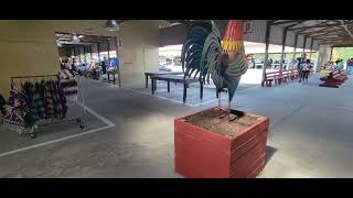 A quick walk-through at the Barnyard Flea Market in Augusta, Georgia.#georgiaways #fleamarket 