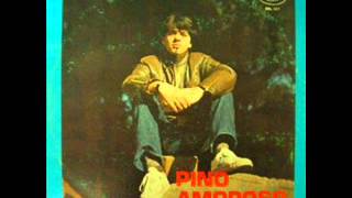 Pino Amoroso Sala Daspetto