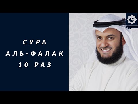 Video: Поляк суроосун жабыңыз. Корутундунун ордуна