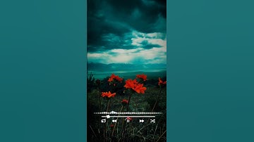 تلاوة هادئة بصوت الشيخ ياسر الدوسري #سورة_الحاقة #اكتب_شي_تؤجر_عليه #quran