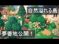 【あつ森】夢番地(Dream code)公開！自然溢れる島のわかりにくい場所、注意事項などのご紹介！ver.1【Animal Crossing/夢見の館/島紹介】