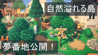 【あつ森】夢番地(Dream code)公開！自然溢れる島のわかりにくい場所、注意事項などのご紹介！ver.1【Animal Crossing/夢見の館/島紹介】