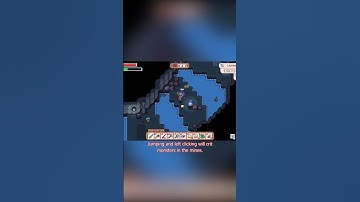 Fields of Mistria Tips for Beginners