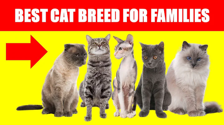 Watch the video about Top 5 Cat Breeds Every Family Should Consider Owning