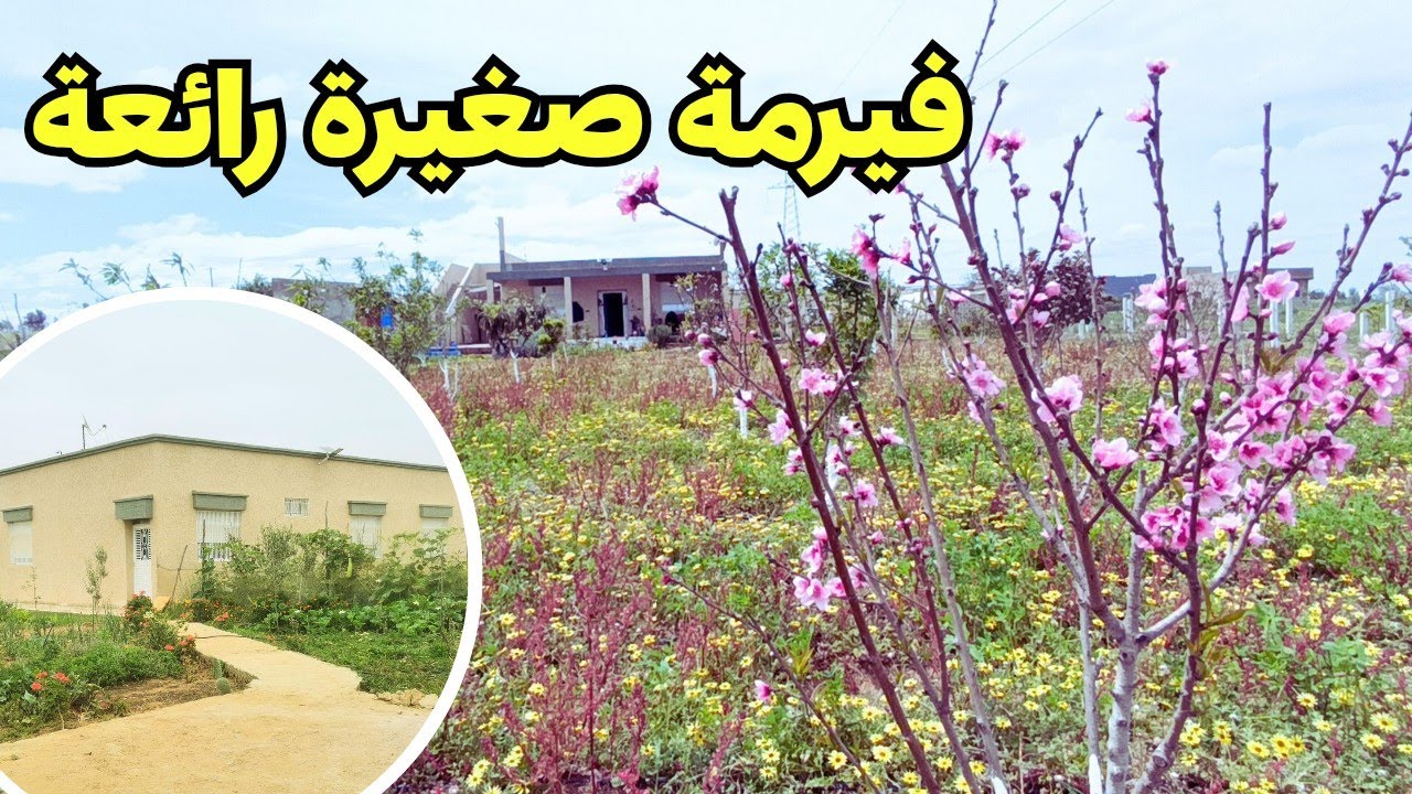 فيرمة صغيرة رائعة بها منزل جميل و بئر و أشجار مثمرة نواحي مدينة تيفلت