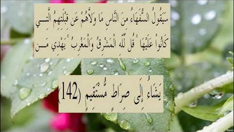 القران الكريم سورة البقرة الاية 142