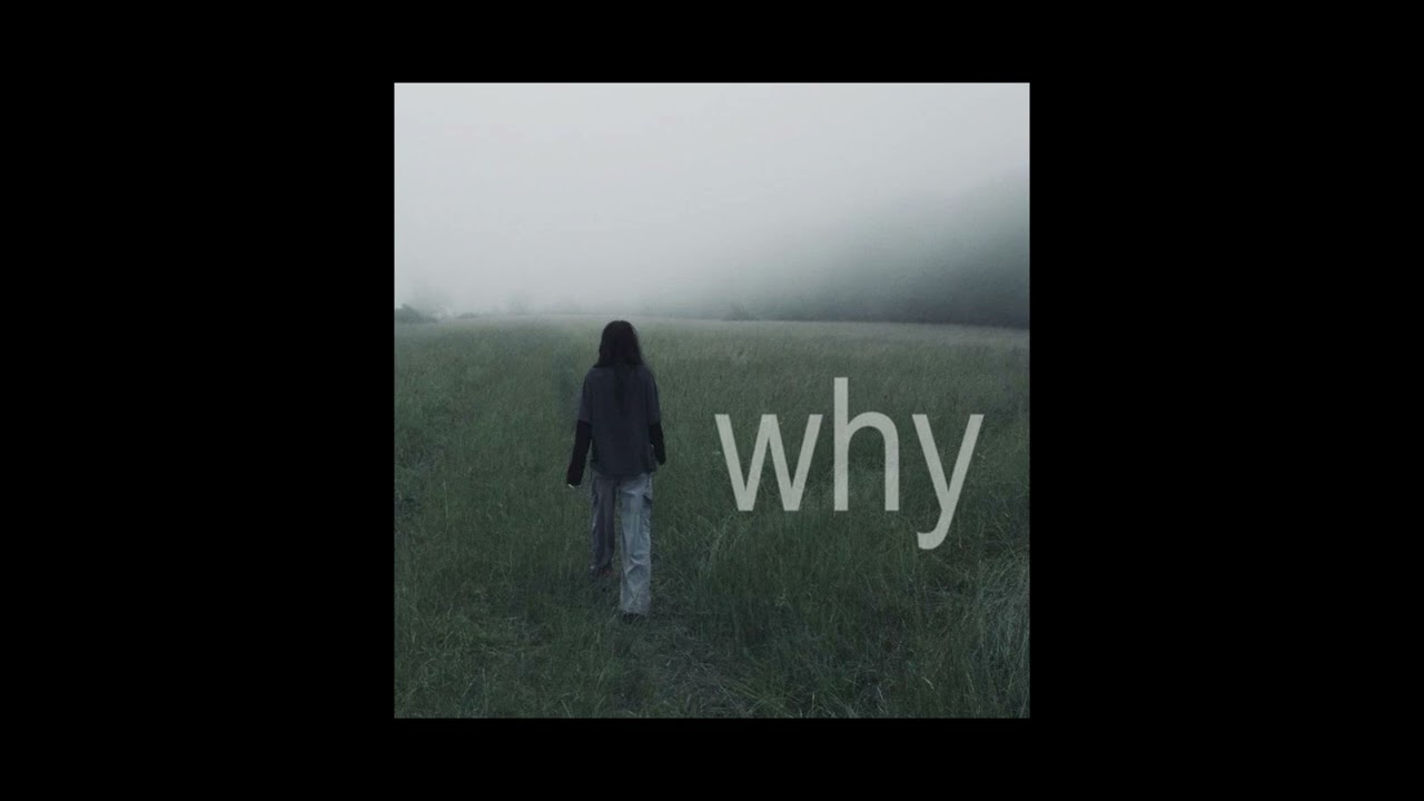 [FREE FOR PROFIT] lil peep type beat - "girl who takes me out"