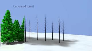How wildfire impacts snowmelt @OregonStateCEOAS