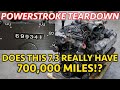 700,000 Mile 7.3 Powerstroke Teardown! Does This REALLY Have This Many Miles?