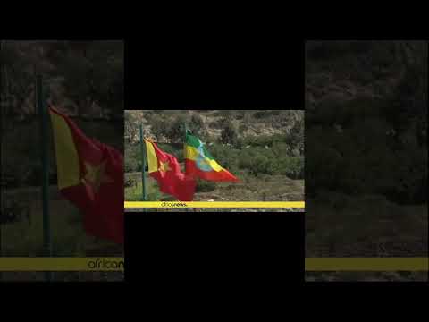 አጭር ዜና Shortvideo