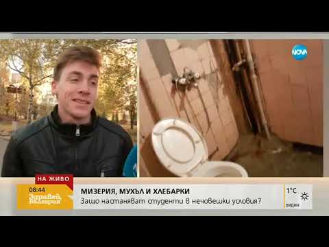 МИЗЕРИЯ, МУХЪЛ И ХЛЕБАРКИ: Защо настанават студенти в нечовешки условия (17.10.2018г.)