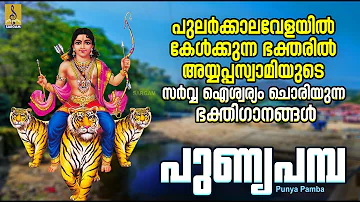 പുണ്യപമ്പ | Ayyappa Devotional Songs | Hindu Devotional Songs | Punya Pamba #ayyappaswamysongs #2024