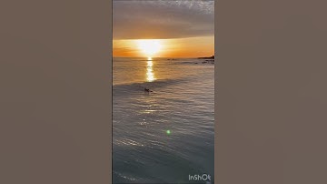 Thumbnail of Is Cayucos the last true small surf town left in Cali? #805 #beach #learntosurf #surfing #sea