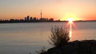 Sunrise Mink 2012