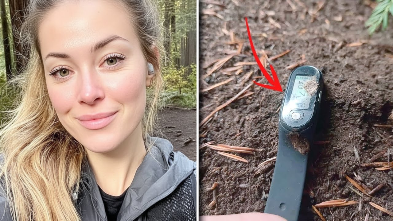 Excursionista desaparece em floresta de sequoias – 9 meses depois, seu rastreador ainda conta passos