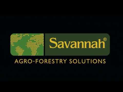 Savannah Model 1720 Stump Puller and Rotary Rake Savannah Brasil Serviços Agro Florestais, Ltda.