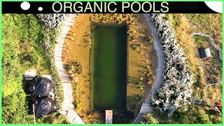 Stunning Off Grid Natural Pool - DIY - step by step